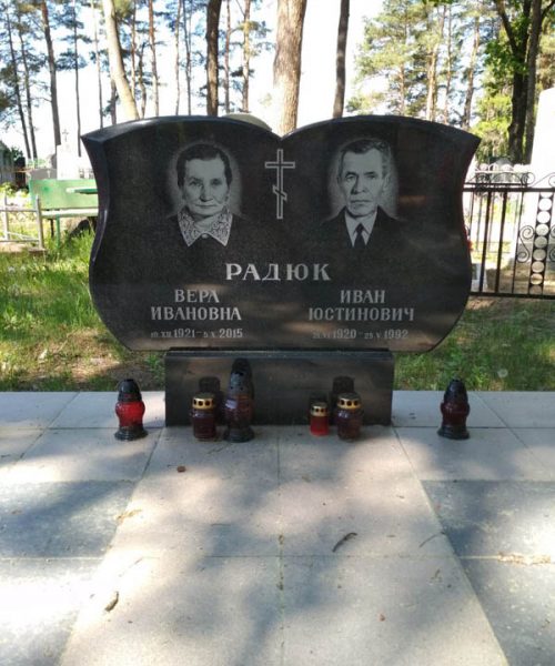 Д-8